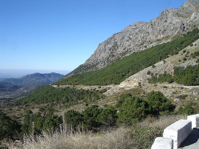 Imágenes de La sierra de Grazalema y los pueblos blancos