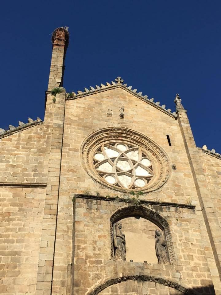 Imágenes de Rodando por el Valle del Jerte en flor