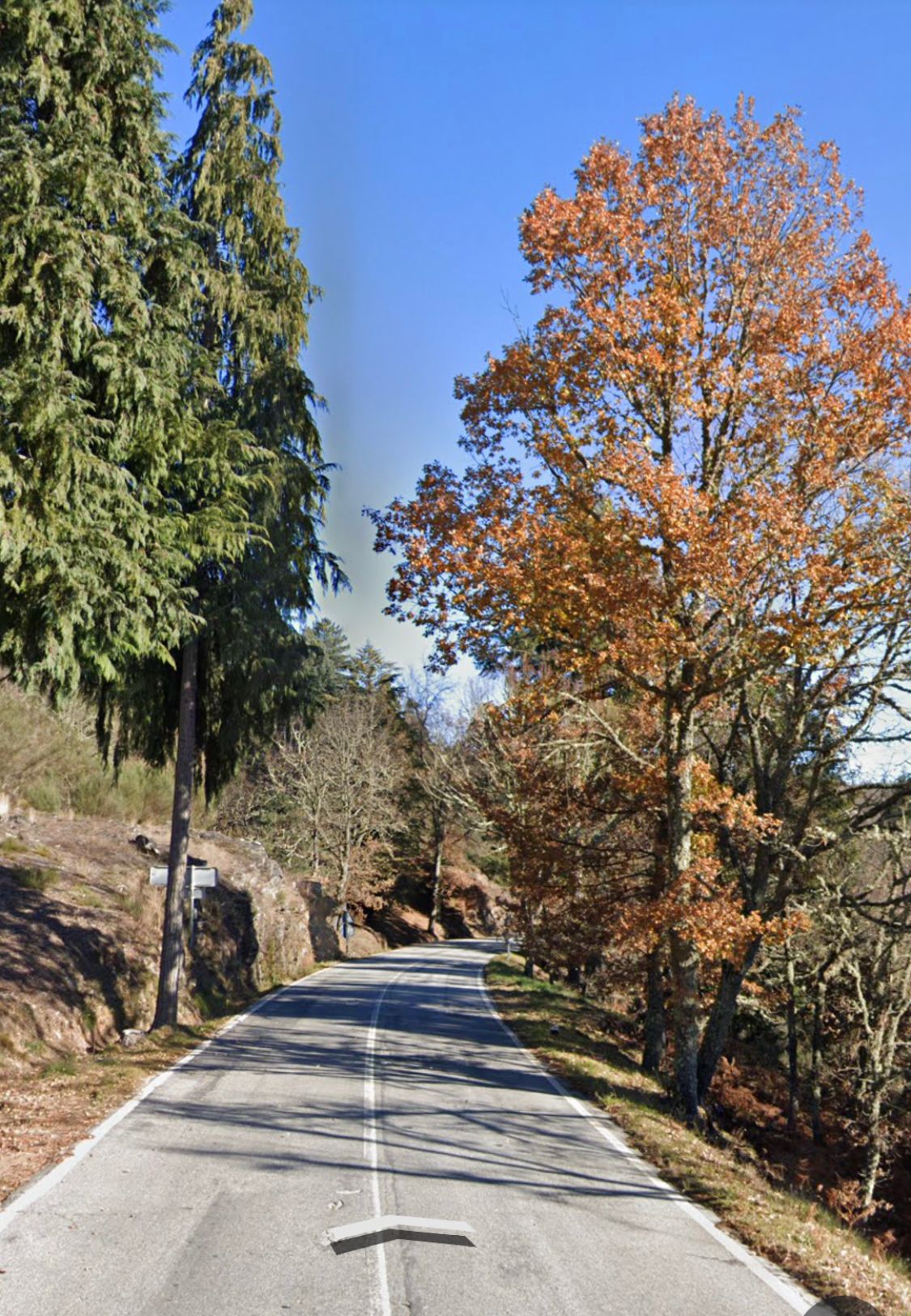 Imágenes de A Cañiza - Montalegre - Lago de Sanabria