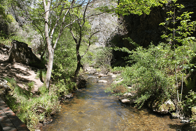 Imágenes de Al Puerto de Vegarada