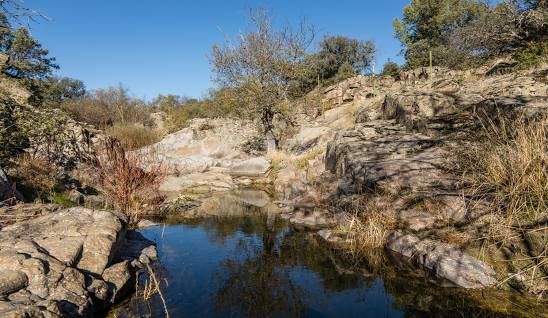 Imágenes de Oeste Madrid Larga