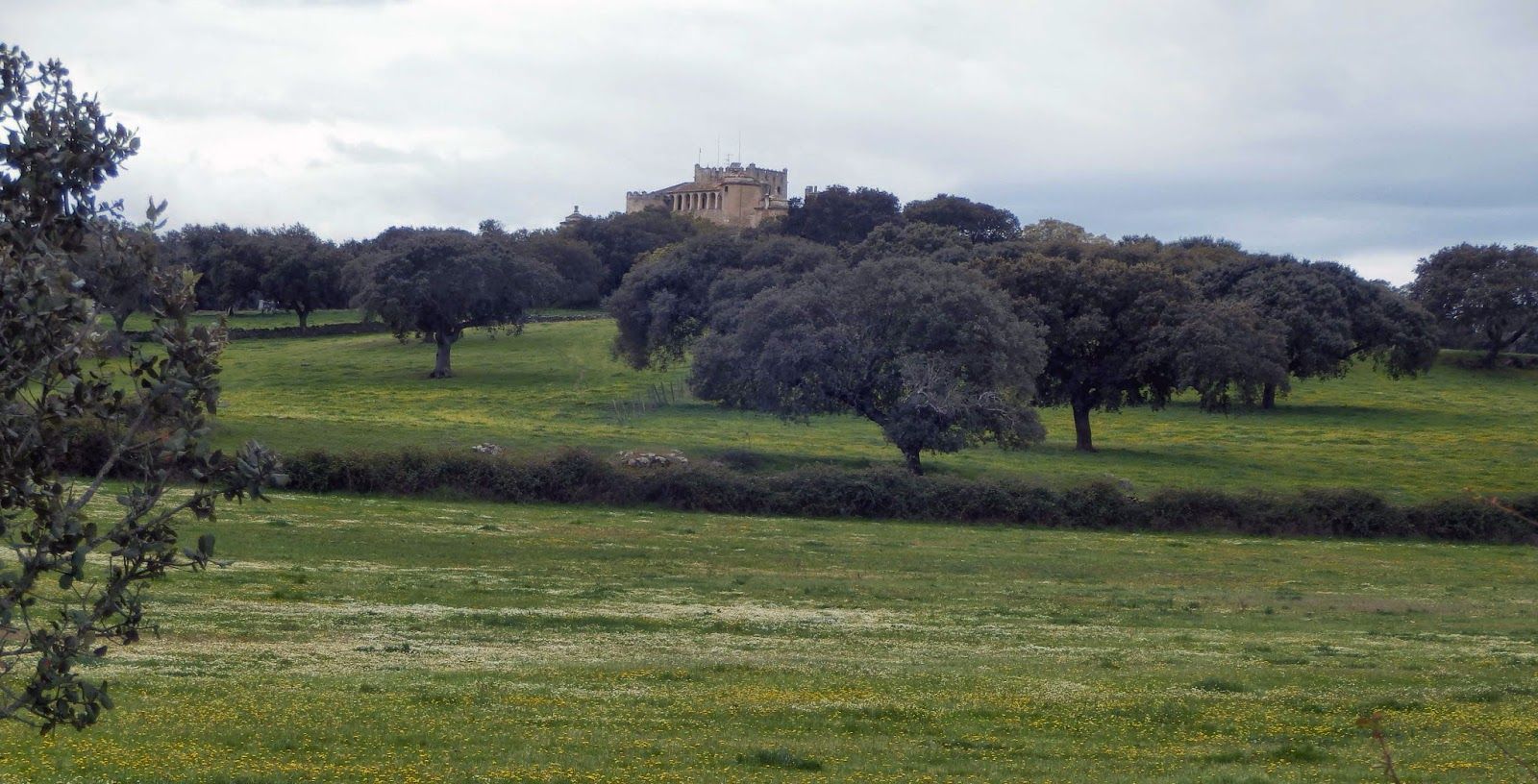 Imágenes de Historia y Naturaleza por la Sierra de San Pedro