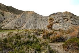 Imágenes de Alpujarra y cabo gata