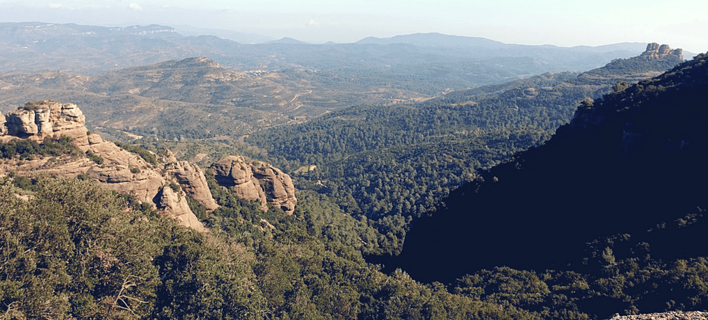 Imágenes de RUTA COLLSUSPINA-PALLEJÀ