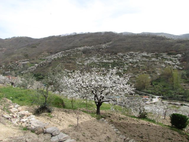 Imágenes de Un paseo por Extremadura